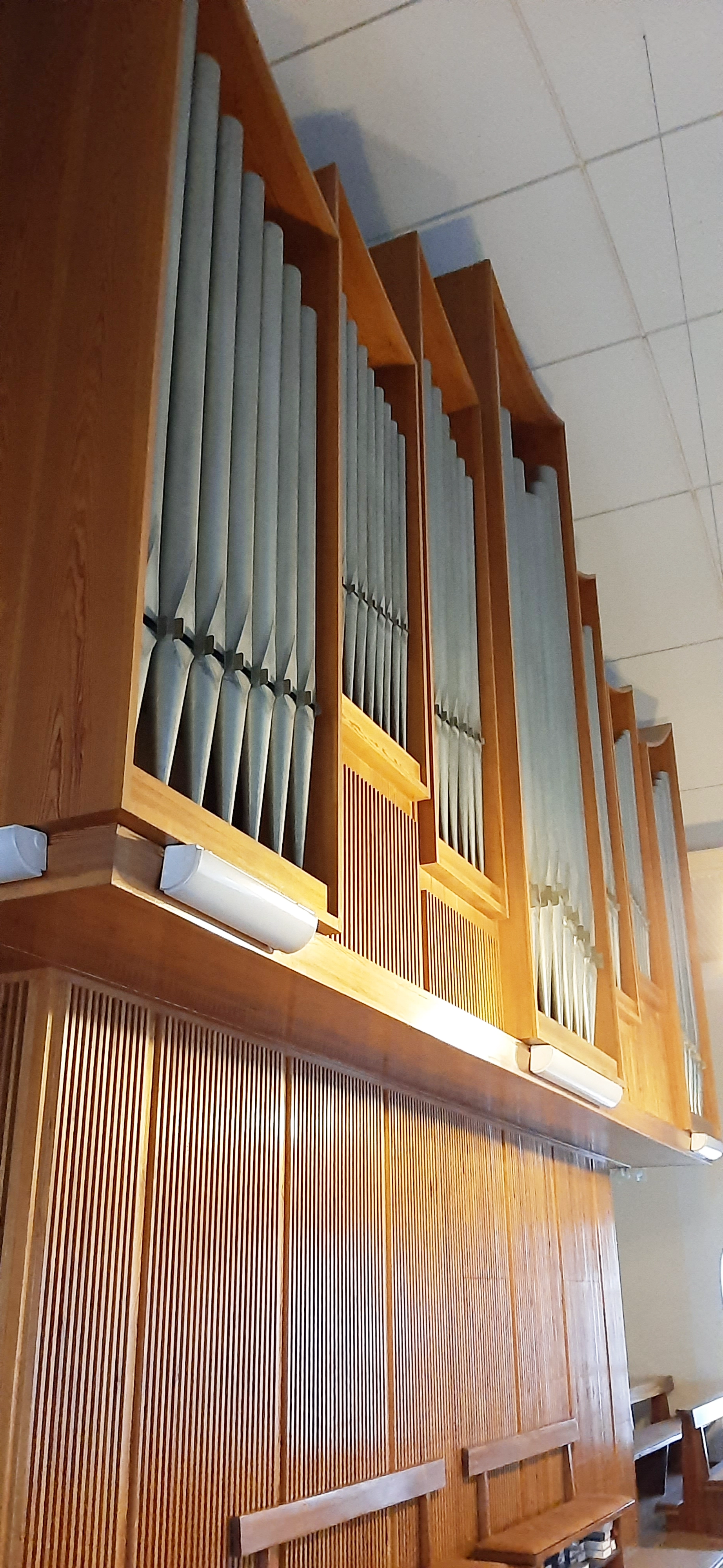 Orgel in Seedorf